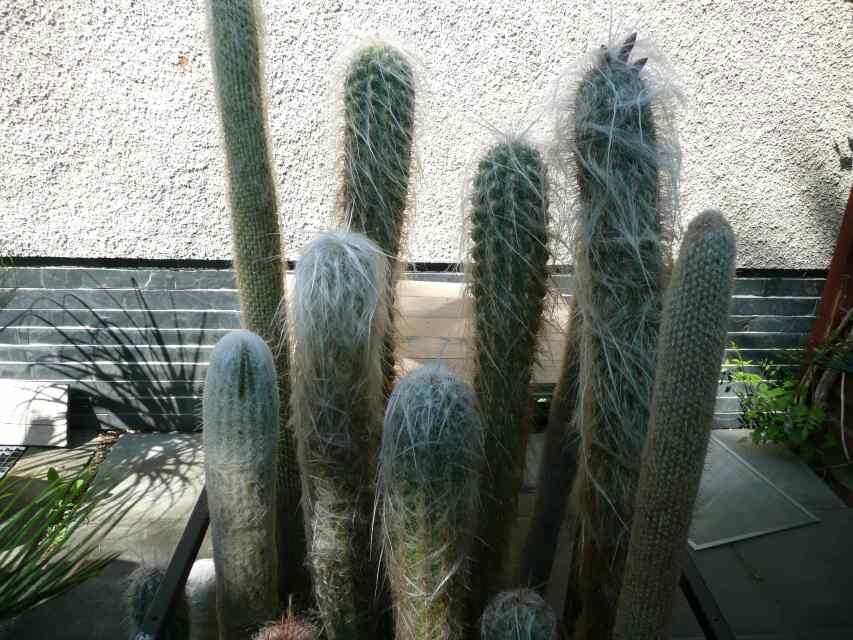 Sbírka p. Riedela 13