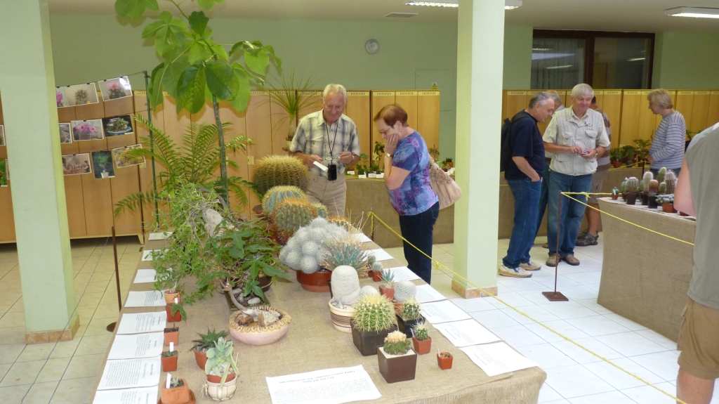 4 Speciální expozice