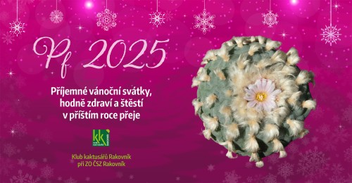kaktusari_pf2025.jpg